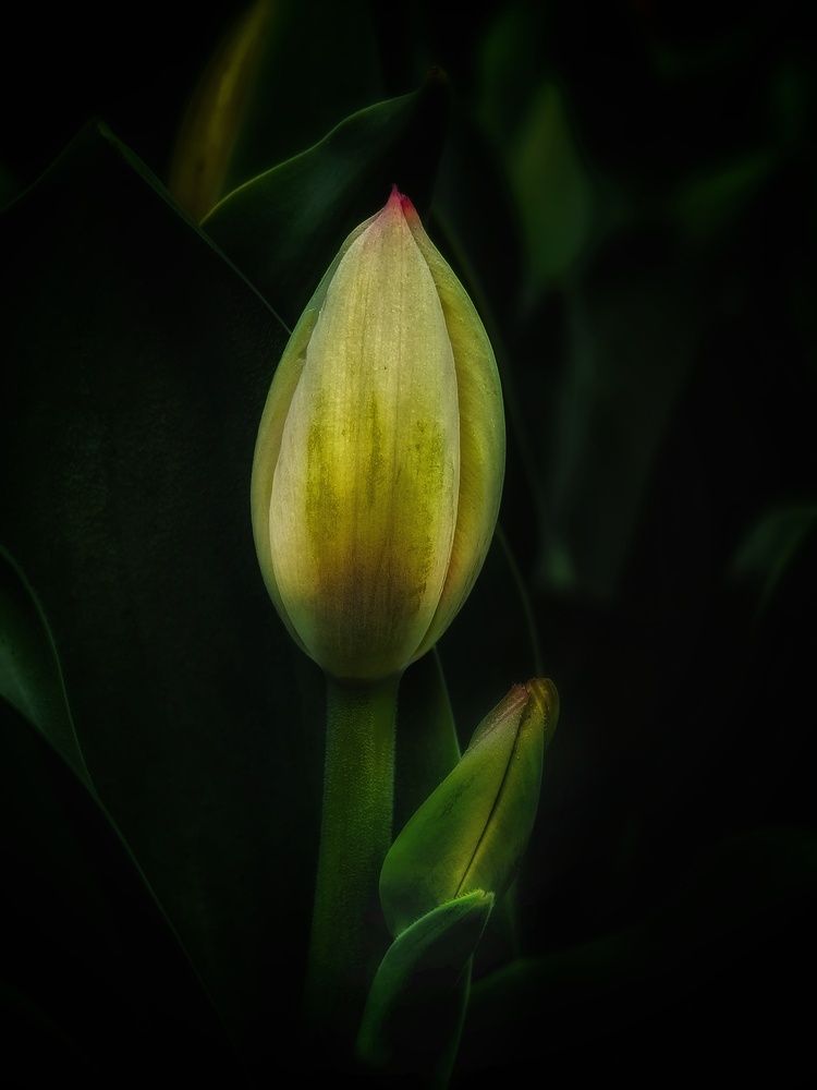 Photograph by Владимир Ли