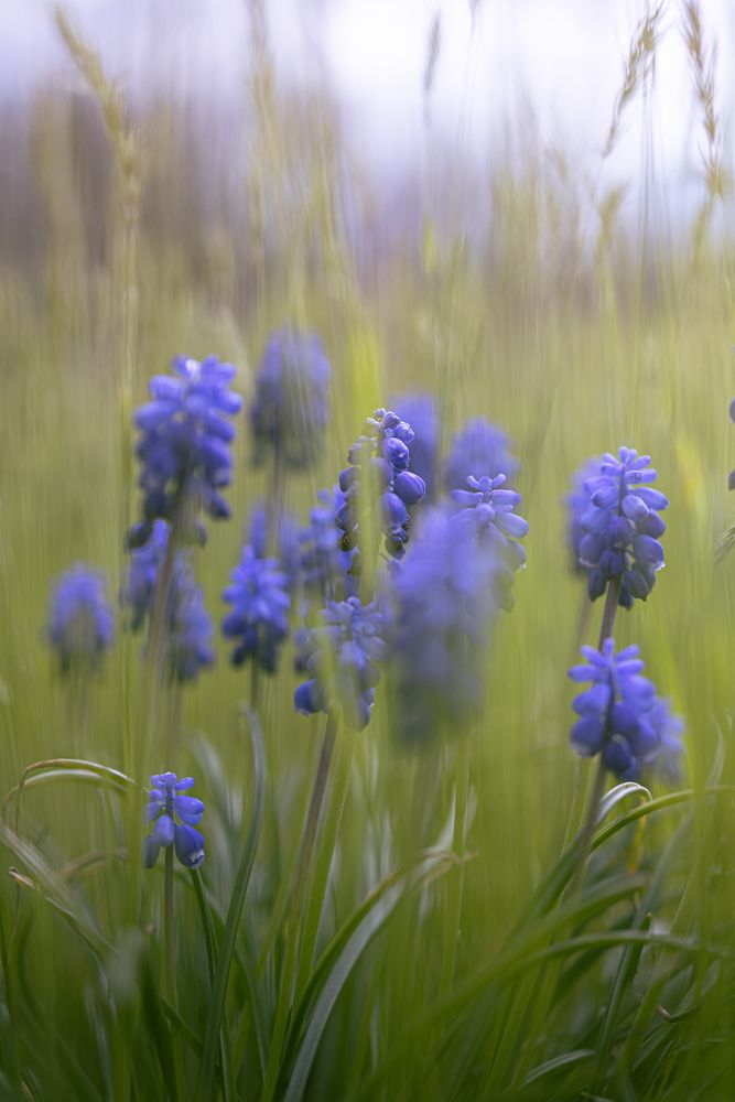 Photograph by Larysa Pinner