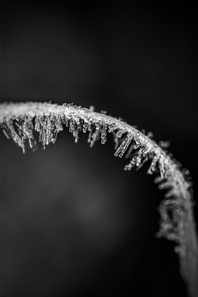 Line of Ice