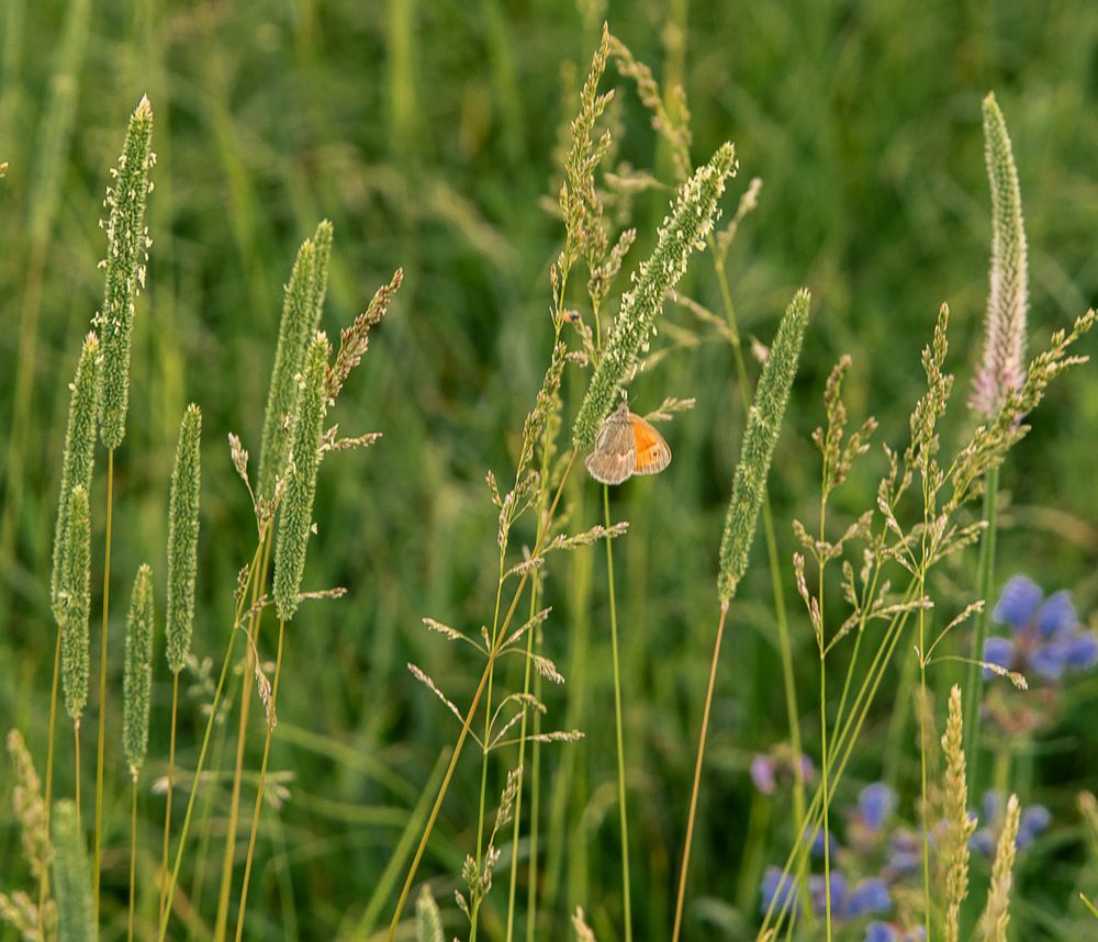 Photograph by Ирина Яук