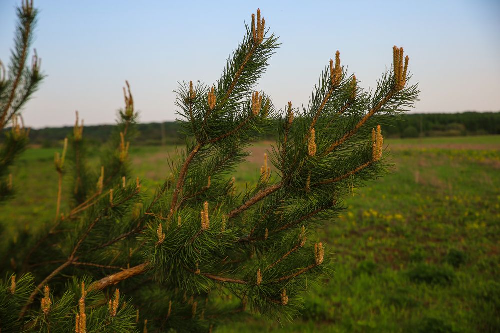 Photograph by Наталья
