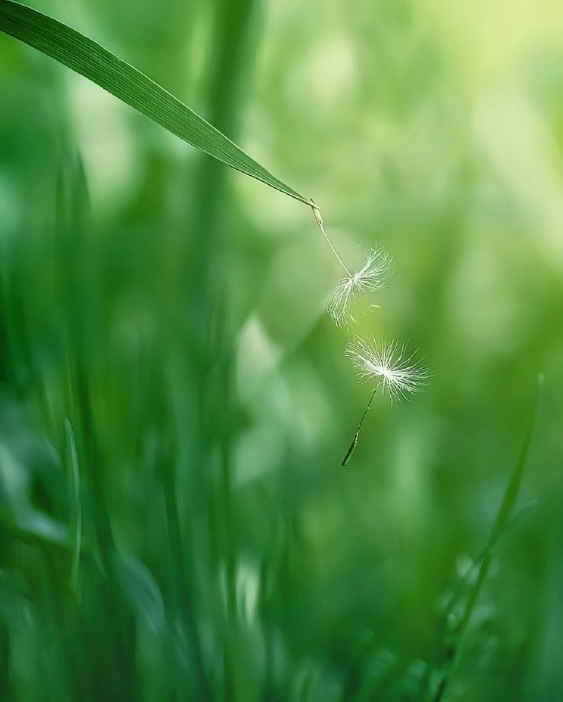 Photograph by Владимир