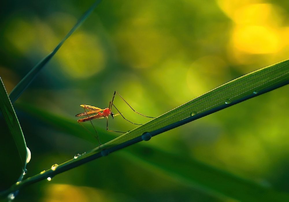 Photograph by Владимир