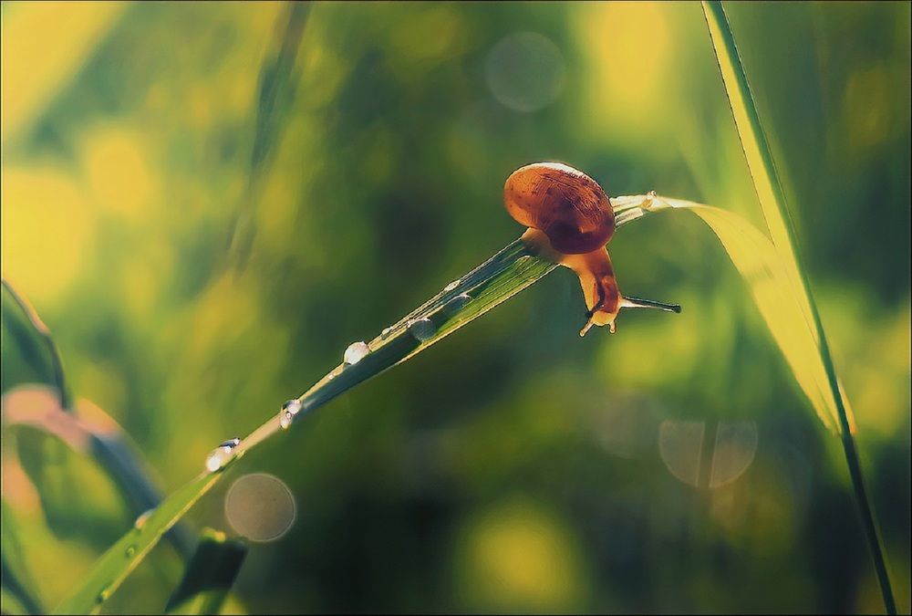 Photograph by Владимир