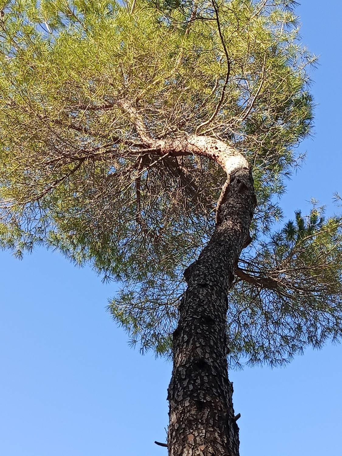 Photo #13591453