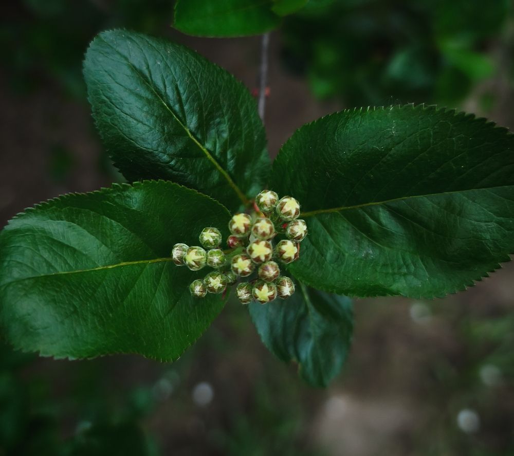 Photograph by Елена Попова