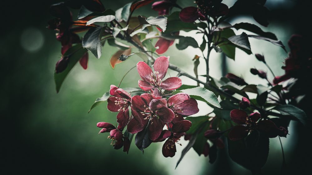 Photograph by Евгений Конов