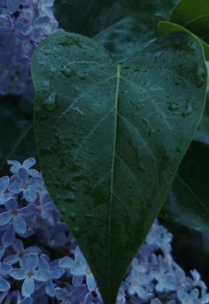 Photograph by Анастасия Туркина