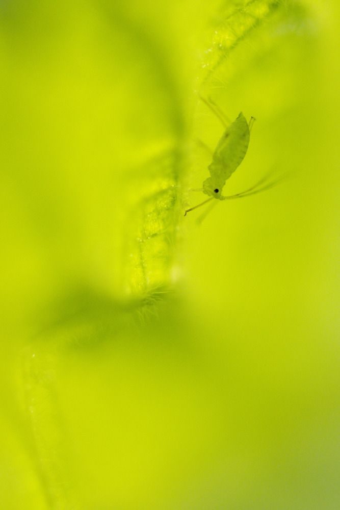 Photograph by Flora Jakab