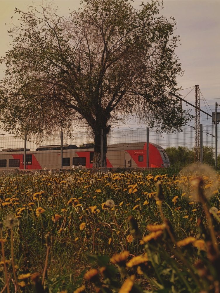 Photograph by Алена Марченко