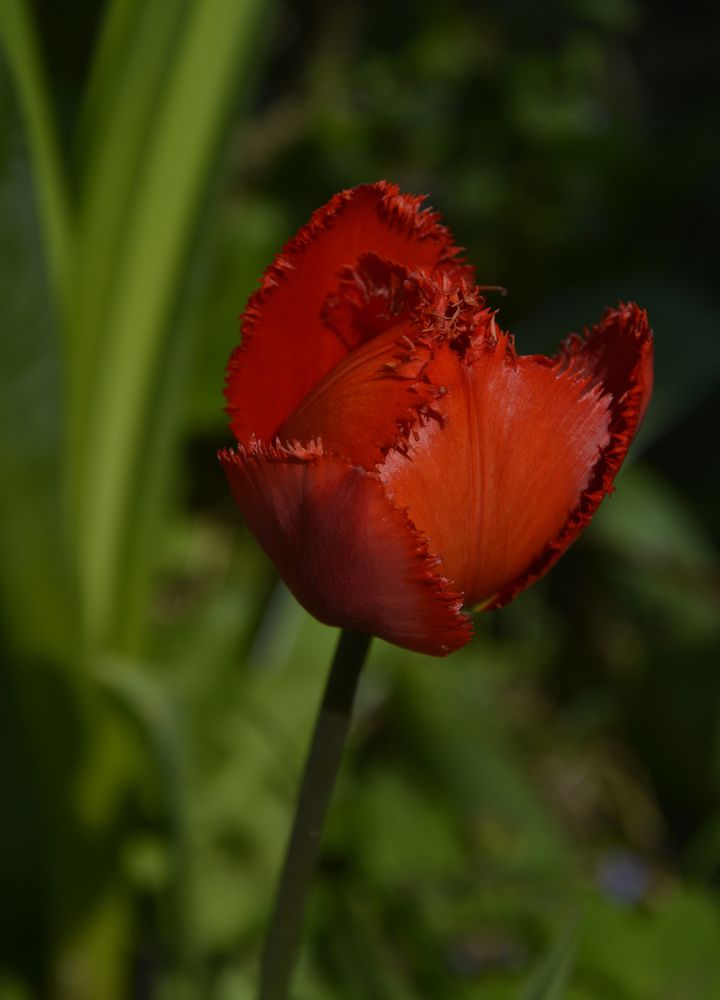 Photograph by Елена Курочкина