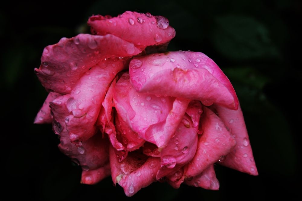Photograph by Régis Santos