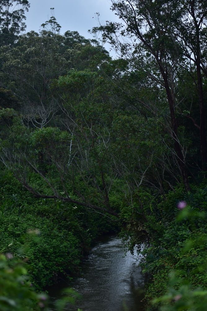 Photograph by Narindra Raharijaona