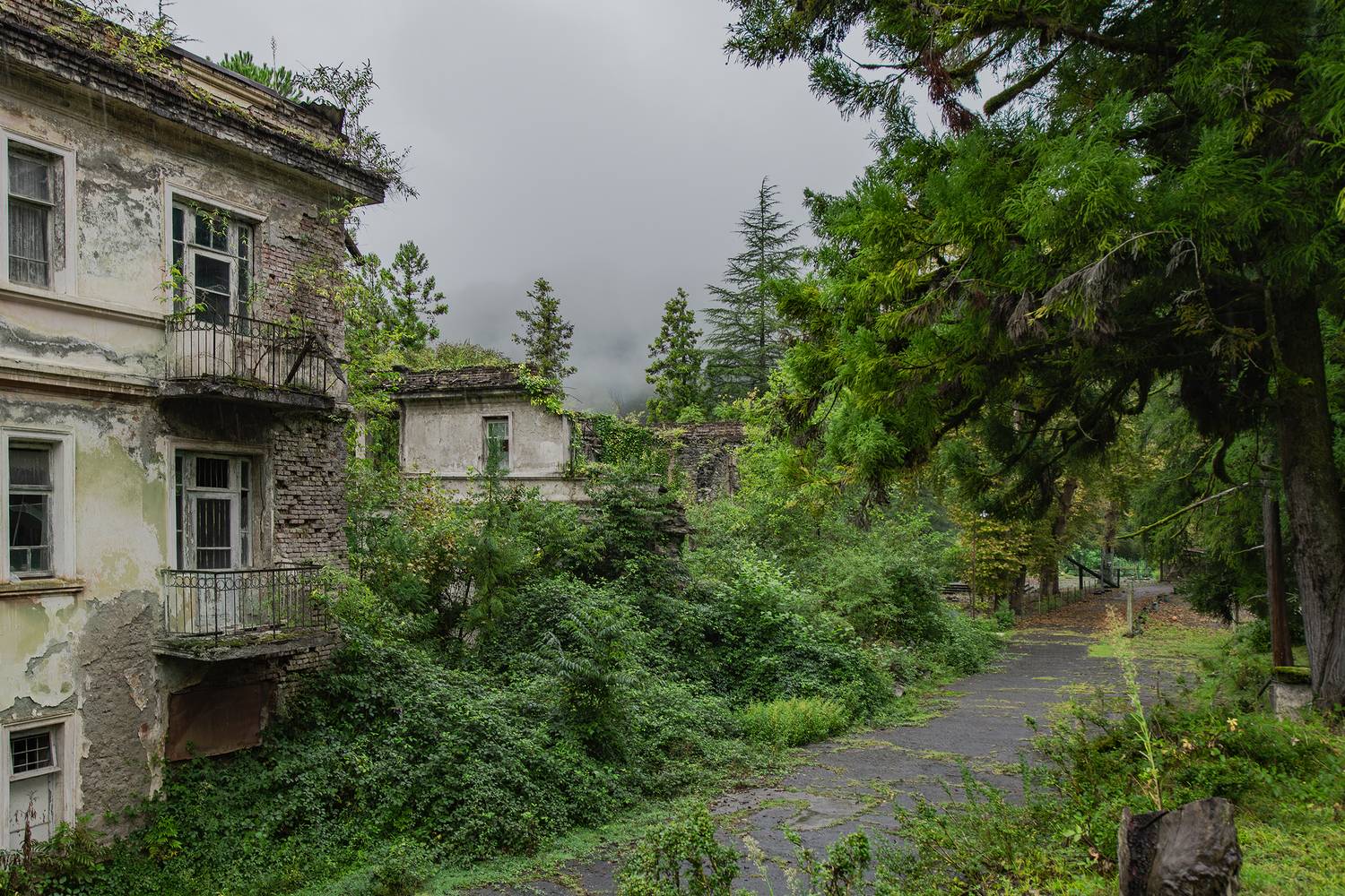 Сумерки Акармары