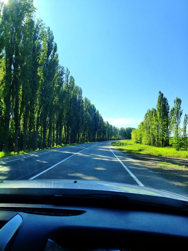 Photograph by Анастасия Смирнова