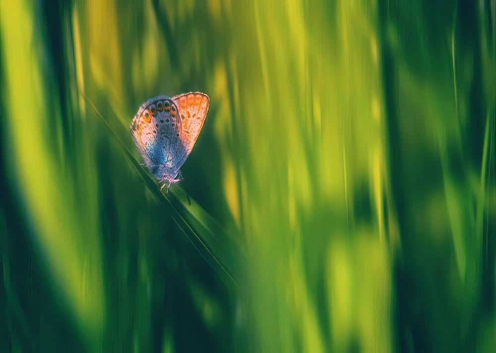 Photograph by Владимир