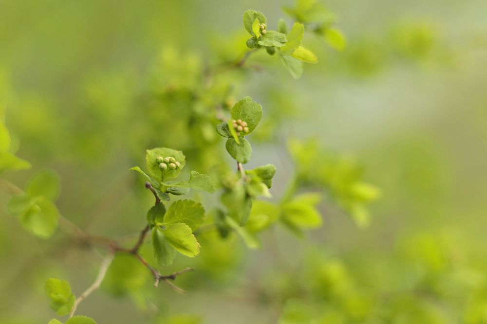 Photograph by Татьяна Бравая