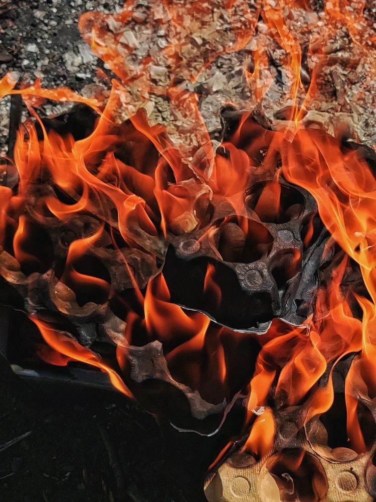 Photograph by Александр Зубарев
