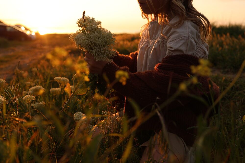 Photo #13592137