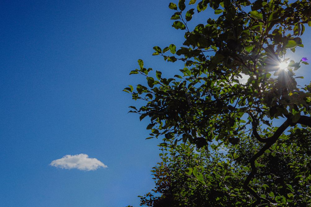 Photograph by Дмитрий Черноус
