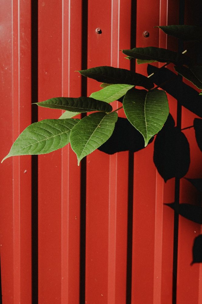 Photograph by Дмитрий Черноус