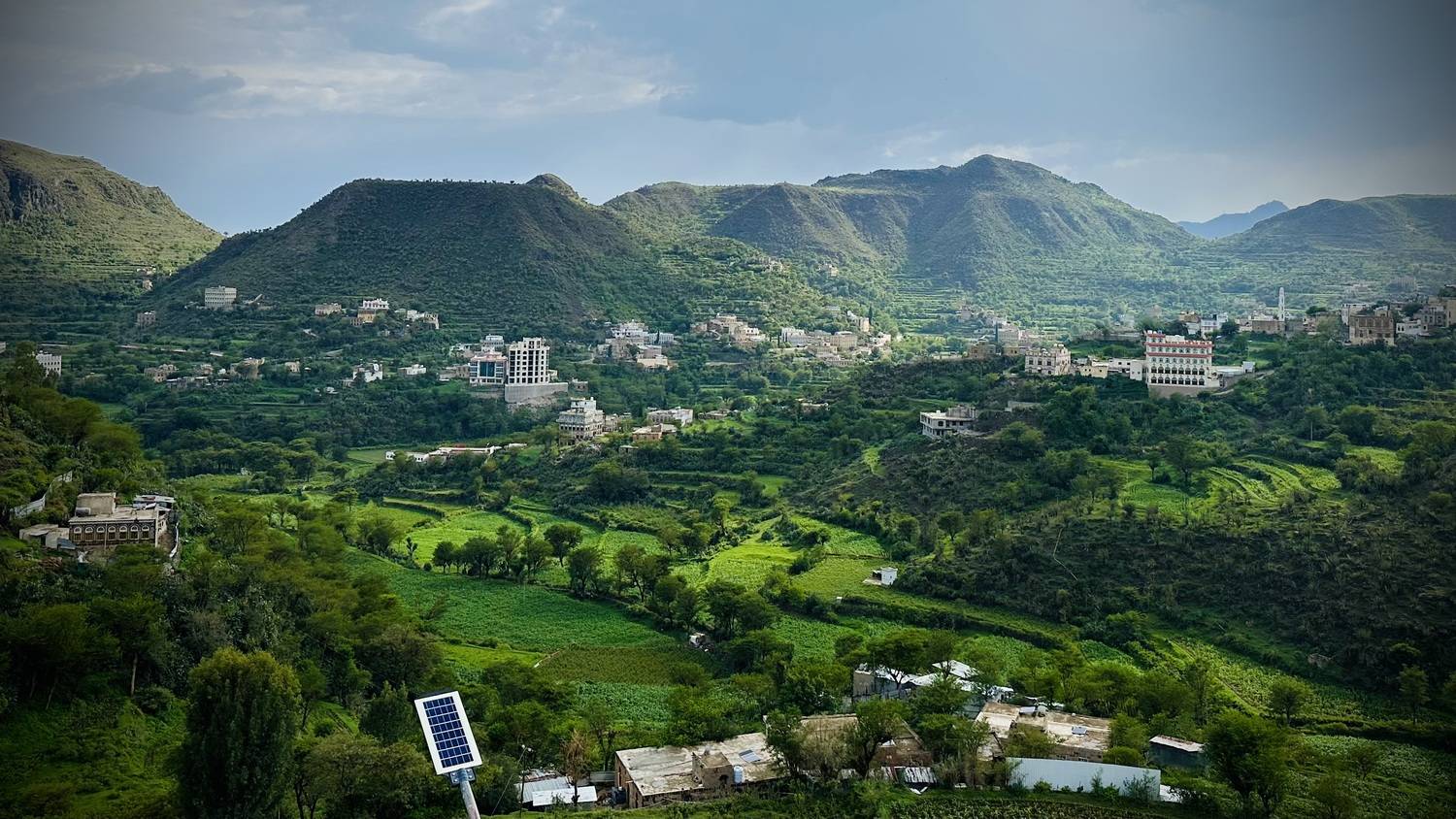 The Green Canvas of Nature