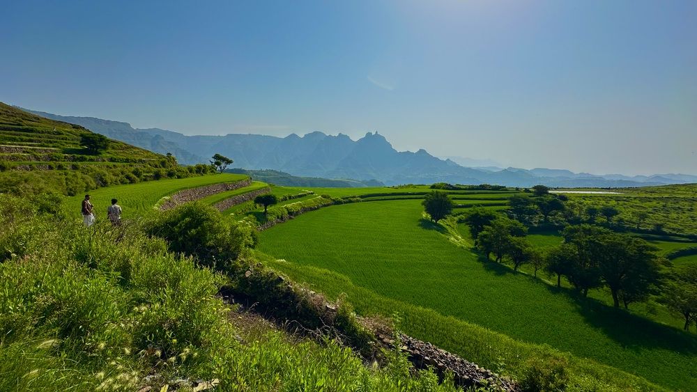 Shades of Emerald Terraces