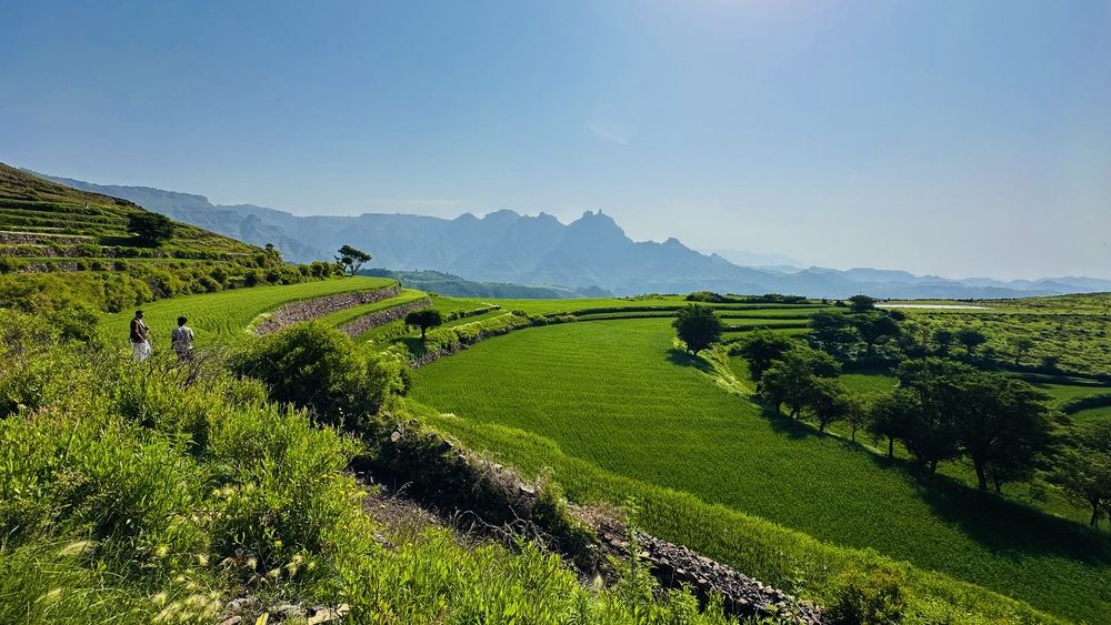 Shades of Emerald Terraces