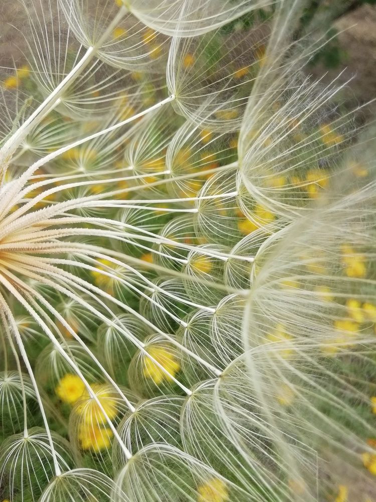 Photograph by Светлана Ищенко