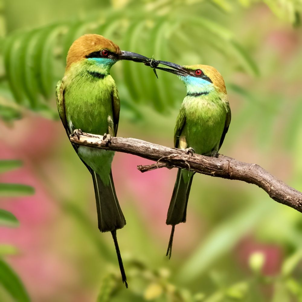 Фотография автора kurrias_tran