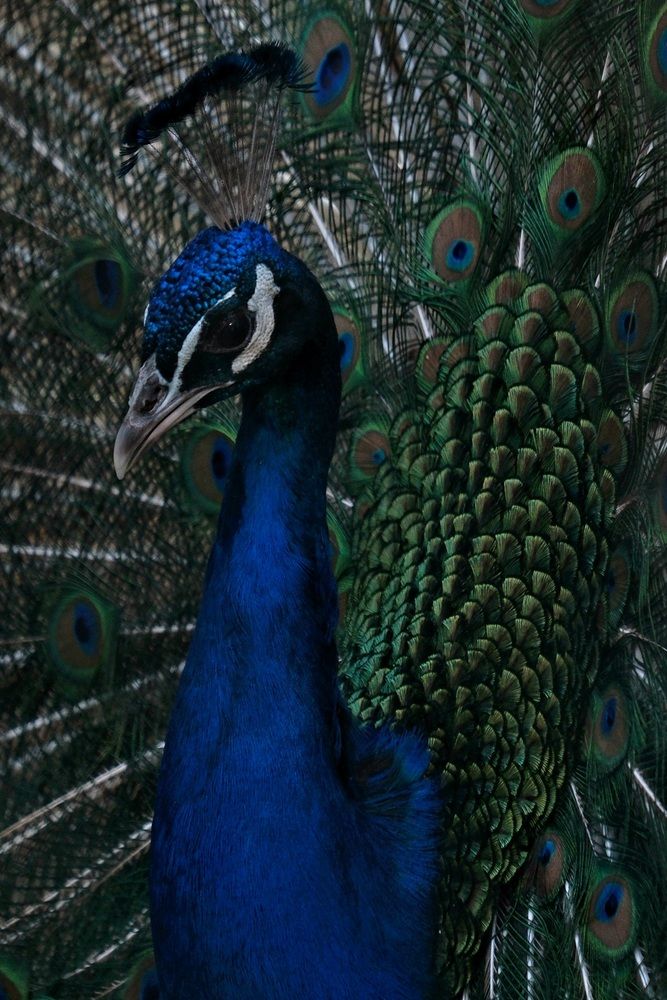 Photograph by Яна Истоцкая