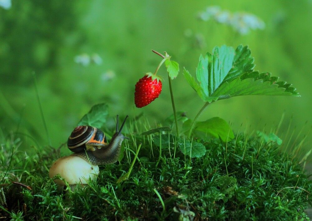 Photograph by Хрусталева Людмила