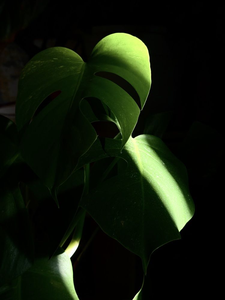 Photograph by Татьяна