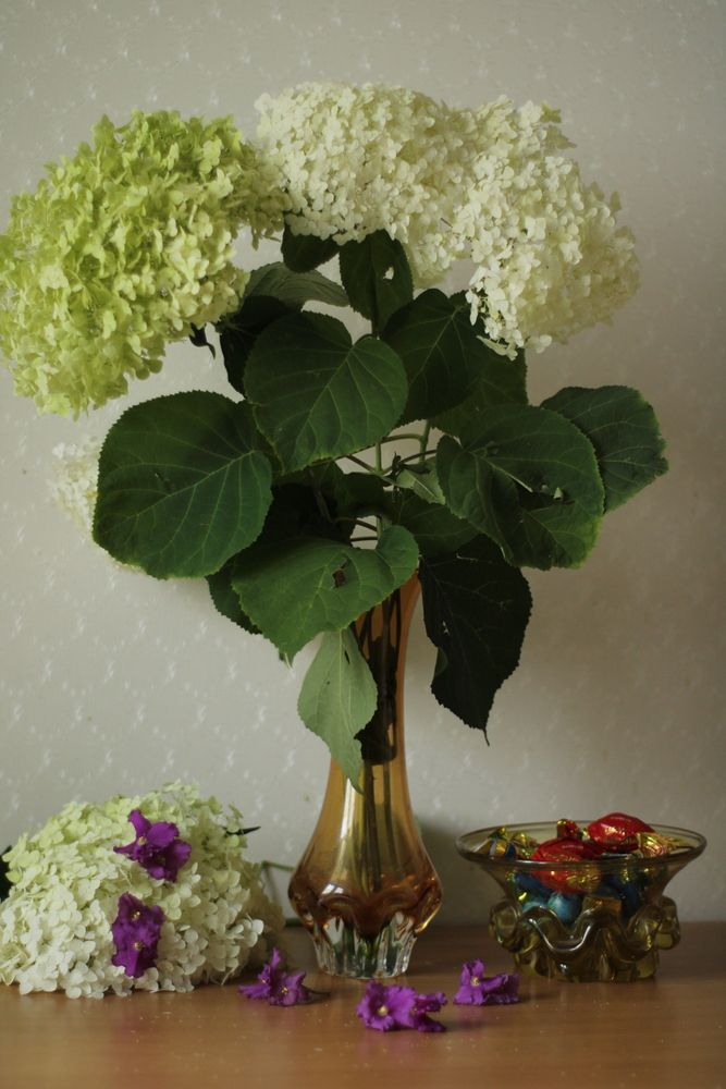 Photograph by Людмила Липаткина