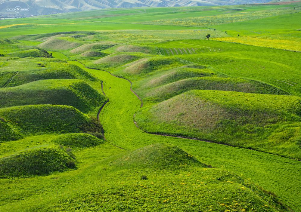 Green River