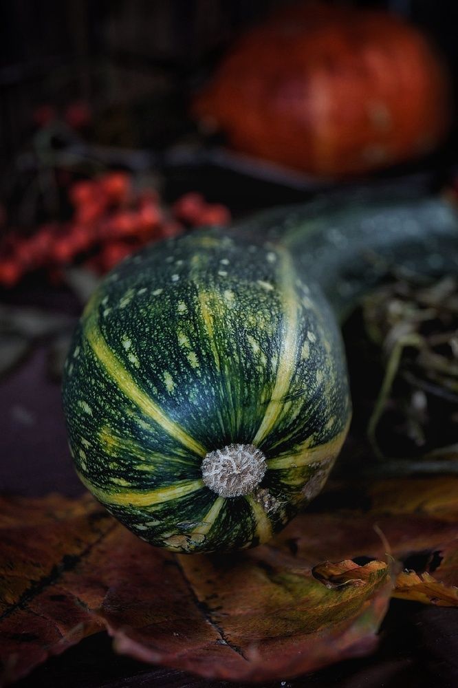 Photograph by Светлана Васильева