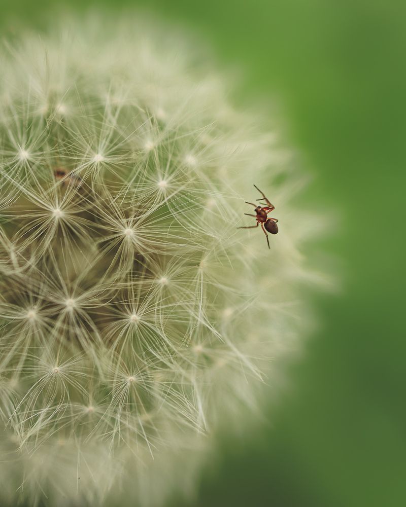 Photograph by Moldvaji Robert