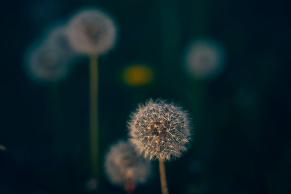 Photograph by Анна Гусева