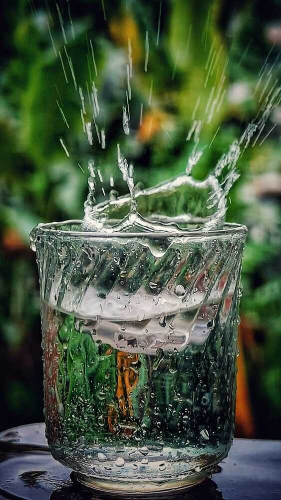 Photograph by Monuj Kr Dutta