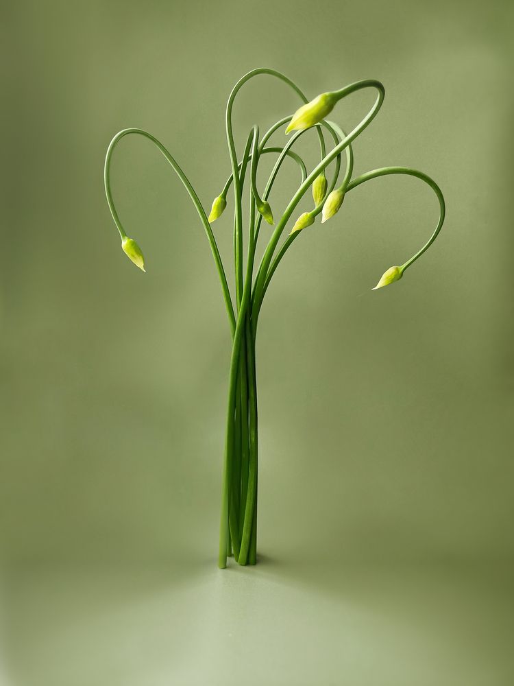 Photograph by Татьяна Шахова