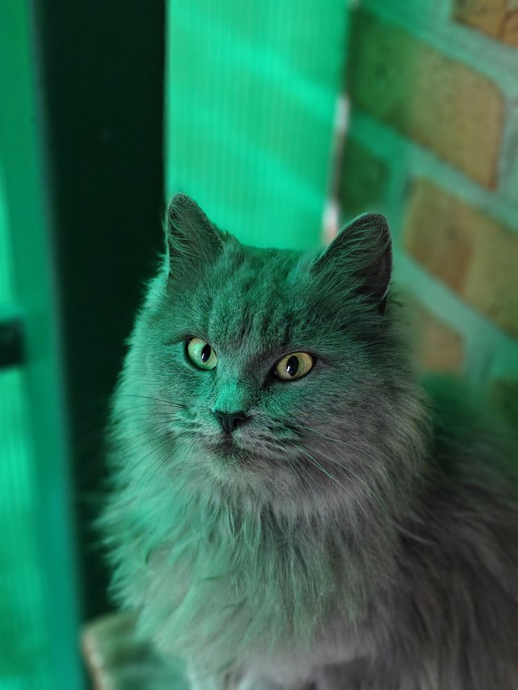 Photograph by Олеся Бажора