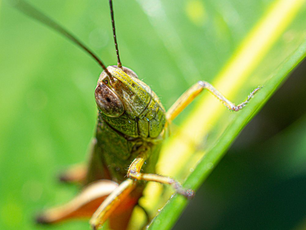 Photograph by Camilo Rojas