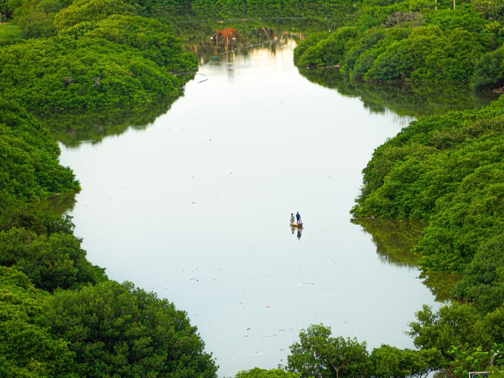 Photograph by Camilo Rojas