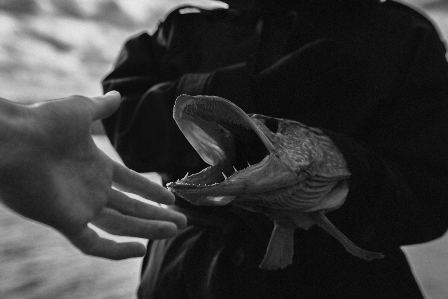Photo #13592769
