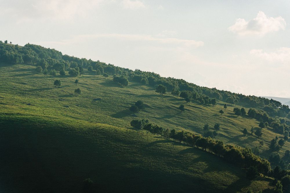 Photograph by Alina Orlova