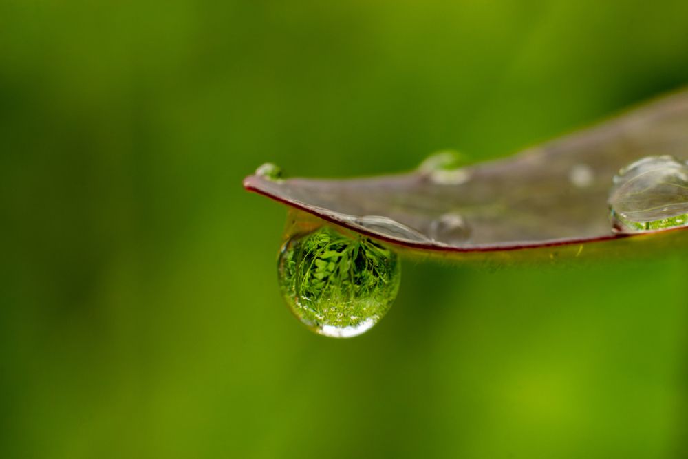 Photograph by Никита Иванов