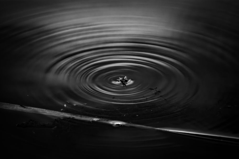 Photograph by Софья Гелевера