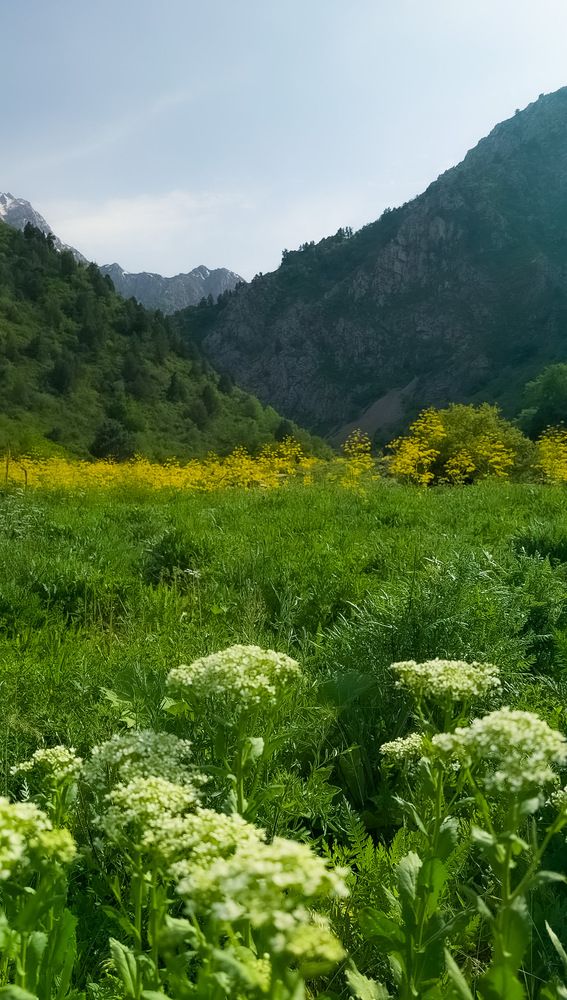 Фотография автора Оксана Сафина