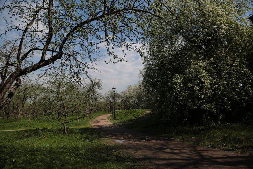 Photograph by Ольга Шабалина