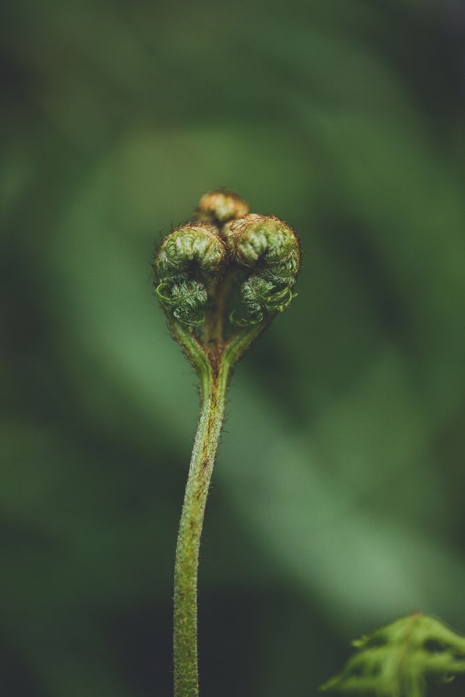 Photograph by Maria Jacewicz